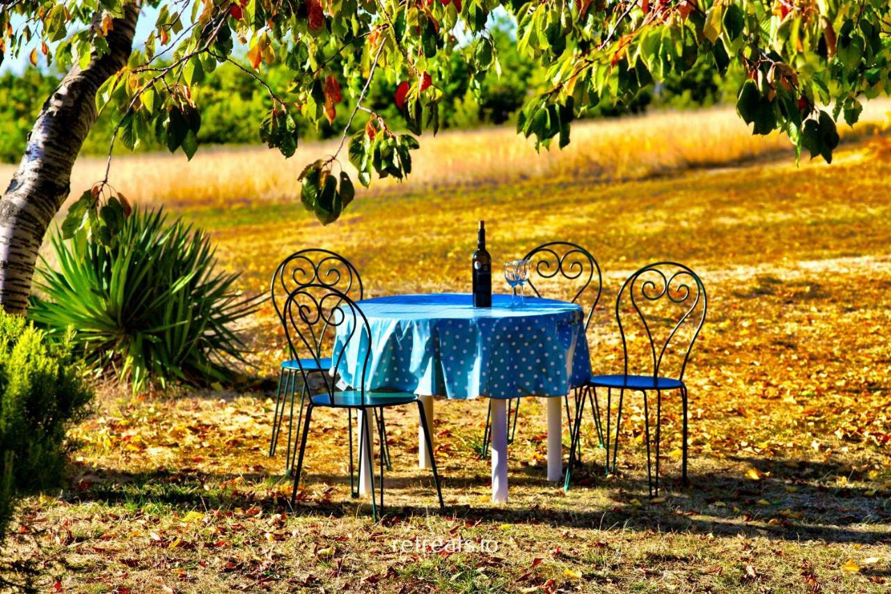 Vila La Colle En Provence Main House Sigonce Exteriér fotografie